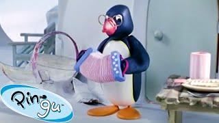 Pingu and the Band!   | Pingu - Official Channel | Cartoons For Kids