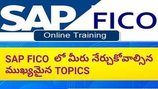 Main Contents in SAP FICO  for beginners