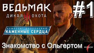 Первые ростки зла: Знакомство с Ольгердом • Ведьмак 3: Дикая Охота • DLC Каменные сердца#1