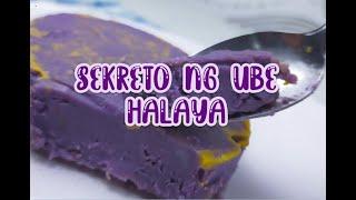 SECRETO SA ATING UBE HALAYA PARA MAS TUMAGAL ITONG MASIRA!