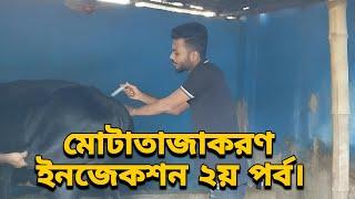 গরু মোটাতাজা করার ইনজেকশন ২য় পর্ব।গরু মোটাতাজা করতে যে সকল ইনজেকশন দিবেন।Nadim Agro।