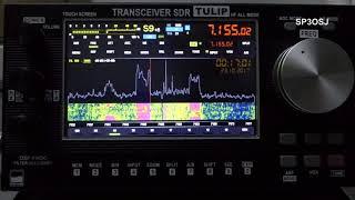 TRx SDR Tulip 2 - work Preamp 1 and 2 and 1+2