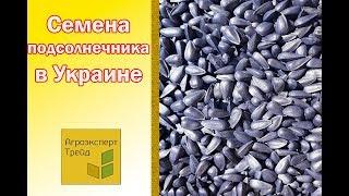 Семена Подсолнечника  Купить в Украине  от Агроэксперт-Трейд