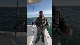 Fishing Science! Striped Bass Citizen Science Kit Breakdown | Massachusetts Marine Fisheries #shorts