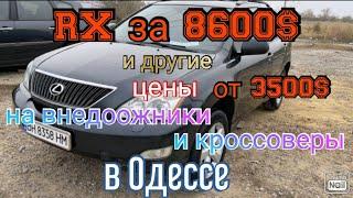 Обзор цен на кроссоверы и внедорожники в Одессе. Авторынок «Куяльник» (Яма)