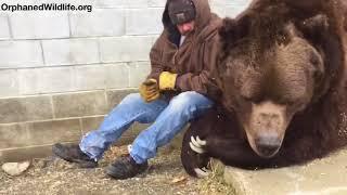 When your bear had a hard day and needs some extra love....