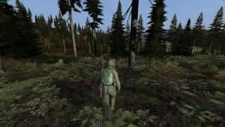 Dayz gameplay