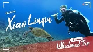 Sun, Sea, Sand, Sea Turtles, 𝐗𝐢𝐚𝐨 𝐋𝐢𝐮𝐪𝐢𝐮! (#小琉球) ️｜Whirlwind Trip