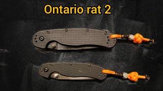 Ontario rat 2. Мини крыса.