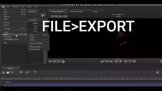 [SFM] How to Export an Animation