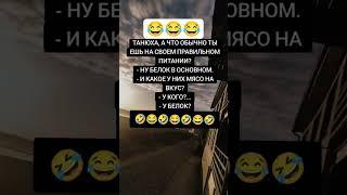 белка #рек