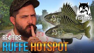 My SECRET Ruffe Fishing Hotspot Location at Mosquito Lake! $$ | Russian Fishing 4