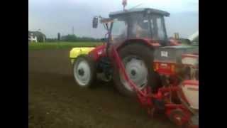 PREPARAZIONE TERRENO 2013 - MATTEAZZI FARM