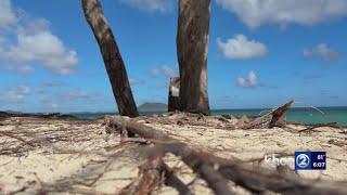 Efforts to preserve Kailua Beach from erosion underway