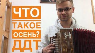 Что такое осень? / ДДТ + соло флейты. Гармонь