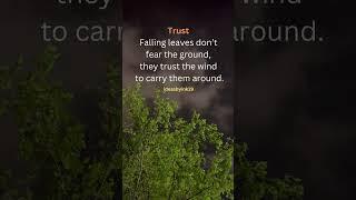 #lifequotes #poetry #trusttheprocess #letgo#movingforward #deepthoughts #inspiration #nature #quotes