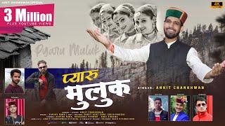 Pyaru Muluk || Harul || Ankit Chankhwan New Song || dholu lai ghura || Sumit Benz Eur || Latest Song