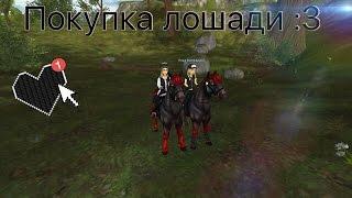 Star Stable|Покупка лошади|Дикая лошадь Юрвика|#3