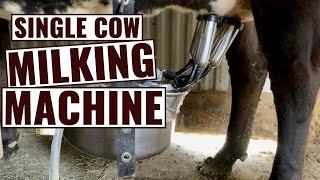 It Takes Just 4 Minutes to Milk Out a Cow With This Electric Milker