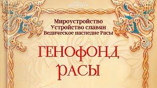 Генофонд Расы #ген #славяне #периметр #школасорадение