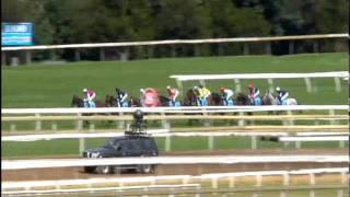 Black Caviar makes it 18 straight - Sportingbet C.F. Orr Stakes