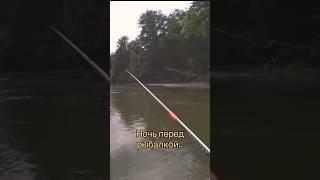 #Сон #рыбака  #рыбалка2023 #baliq ovi #fishing