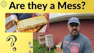 Is this PROOF you DO NOT have to check Hives every Week | Quail Update ! !