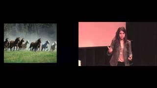 Lust for speed: Jessica Aceves at TEDxDelftSalon