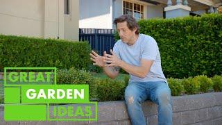 Everything to Know About Planting a Hedge | GARDEN | Great Home Ideas