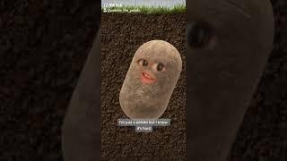 Savage love - potato edition