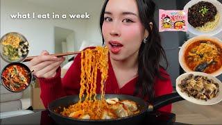 what i eat in a week | Korean food, jjajangmyeon, malatang, eating out