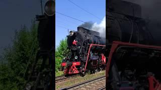 Паровоз Л-2035 у о. п. Дачное, г. Санкт-Петербург, 26.06.2024г.