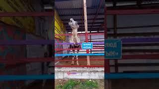 Хотел плюнуть на моего мужа | Виктория Потапова