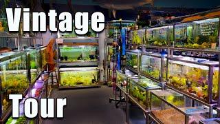 A Vintage Fish Store PACKED with RARE FISH!