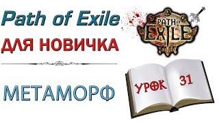 Path of Exile:  для новичков - Метаморф - механика лиги и контент