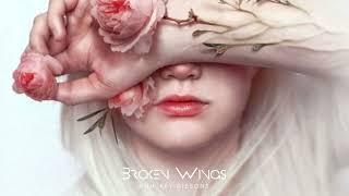 Broken Wings