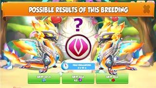 Possible out come Ancient Oya vs Oyar-Dragon Mania Legends | Ancient Divine Breeding | DML