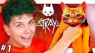 ВАМ кибер КОТИК не НУЖЕН?  СИМУЛЯТОР КОТА  Stray #1