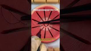 МИКРОХИРУРГИЯ ЧАСТЬ 4 | SCALPEL.MED #shorts