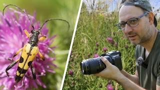 This is How I Shoot Macro Photography HAND-HELD (Canon EF 100mm F/2.8 Lens)