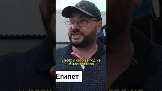 Всем колхозом на отдых в ЕГИПЕТ #несовхоз #фермер #колхоз#farming