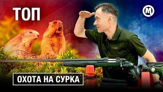 Охота на СУРКА! ТОП 5 Карабинов!