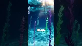 The Miraculous Floating Head: A Story of Faith and Restoration