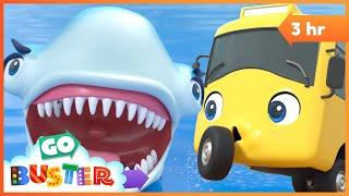 Buster and the The Wobbly Tooth Shark! Go Buster - Bus Cartoons & Kids Stories