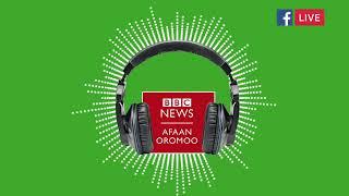 Bbc afaan oromoo Mary 29 2025 Ethiopian News today