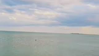 Геническ.Центральный пляж.