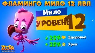 БЕРЕМ ФЛАМИНГО МИЛО 12 ЛВЛ В ИГРЕ ZOOBA: Free for all