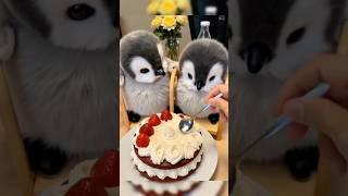 Eating strawberry cake #creative #AI #new #funny #fun #cute #interesting #Penguin #healing #cuteness