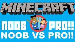 Minecraft NOOB VS PRO!!!!