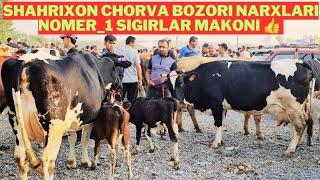 Shahrixon chorva bozori NOMER_1 sigirlar narxlari qanday? Bozor zo'r bo'ldi 